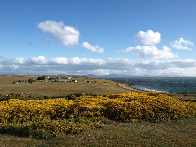../../Pictures/241209/010 Pebble Island.JPG